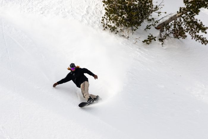 Load image into Gallery viewer, Lib Tech Skunk Ape Snowboard 2025