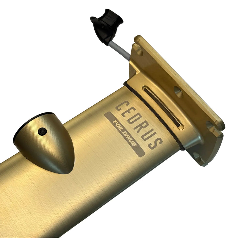 Load image into Gallery viewer, Cedrus Foil Drive Integrated Mast