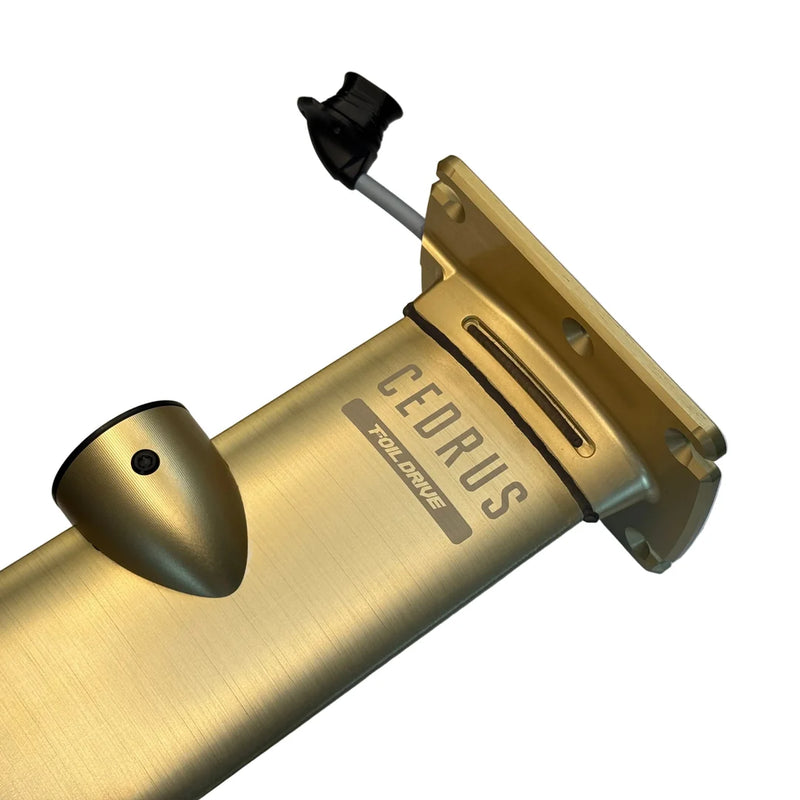 Load image into Gallery viewer, Cedrus Evolution x Foil Drive Integrated Mast