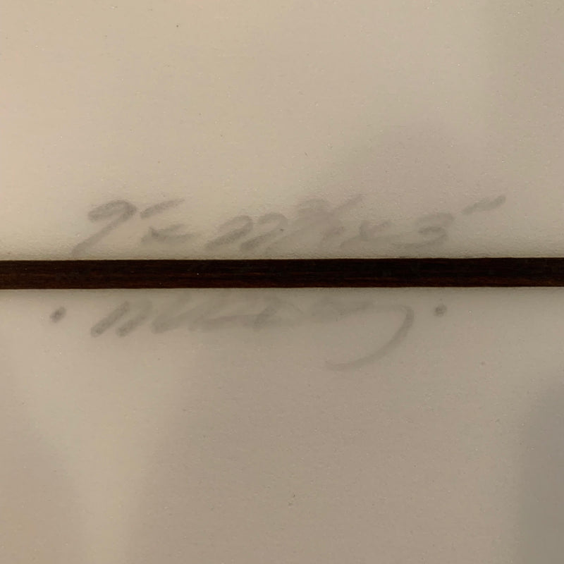 Load image into Gallery viewer, Murdey Little Buddy 9'0"