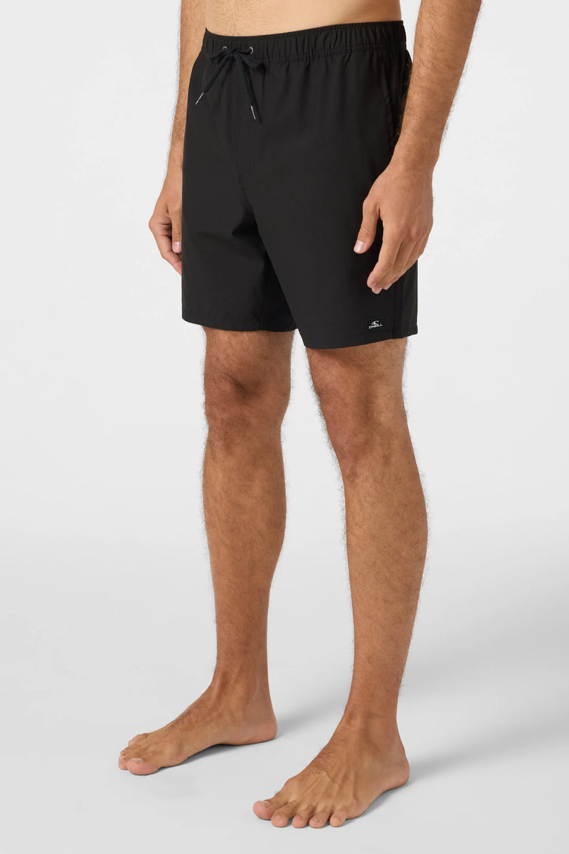 Load image into Gallery viewer, O'Neill Lennox Hermosa Volley 17" Swim Trunks