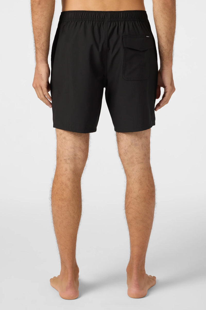 Load image into Gallery viewer, O'Neill Lennox Hermosa Volley 17" Swim Trunks