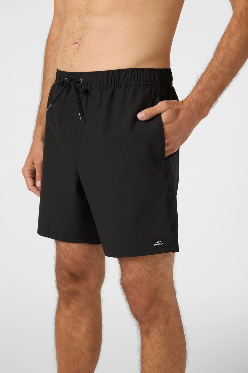 Load image into Gallery viewer, O'Neill Lennox Hermosa Volley 17" Swim Trunks