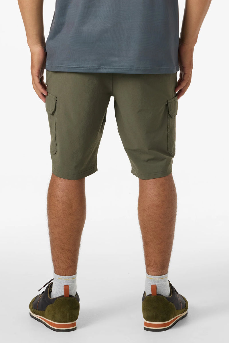 Load image into Gallery viewer, O'Neill TRVLR Cargo 20" Hybrid Shorts
