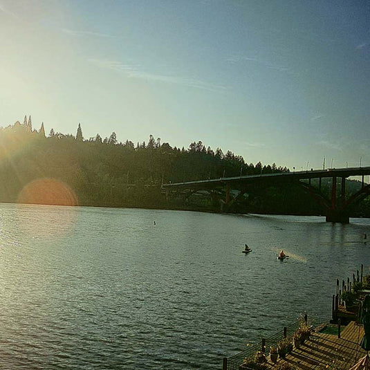 Sellwood Bridge on the Willamette River